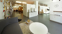 casa gucca（カザ グッカ）